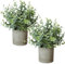Roqueen 2 Piezas Pequeño Plantas Artificiales Eucalipto con Macetas, Plásticos Mini Plantas Falsas para Estante Escritorio Inicio Oficina Cuarto de Baño Granja Habitación Decoración (Verde)
