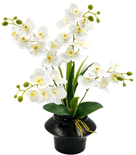 Daily Treasures 24-Heads Artificial Orchid Flower in Black Ceramic Pot,50cm Potted Orchid Plant,Fake Phalaenopsis Flowers,Silk Flowers Arrangement Indoor Decor for Home Office Table Centerpiece(White)