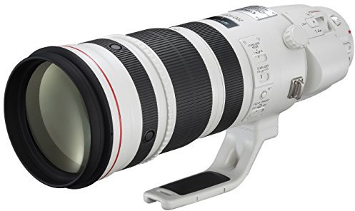 Canon EF 200-400mm f/4L is USM Extender 1.4X SLR Téléobjectif Blanc - Lentilles et filtres d'appareil Photo (SLR, 33/24, Téléobjectif, 2 m, 7,34°, 4,94°)