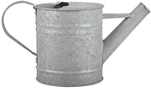 Fallen Fruits 0,75 litro Viejo Zinc regadera