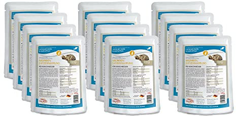 SALiNGO Katzenfutter nass | Lachs mit Huhn & Kartoffeln | getreidefrei | ohne Zucker | 12x100g