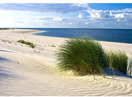 Runa Art Papier peint intissé Mural Plage et mer Moderne Toison Salon Chambre à Coucherr Salle - Tableaux Muraux Tapisserie Photo - Beige Bleu Vert 9008010c