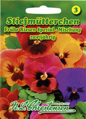 Stiefmütterchen Erfurter Frühe Riesen Spezial-Mischung Viola wittrockiana