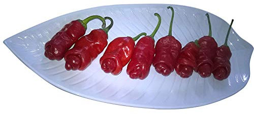 10 Graines de piment de pénis