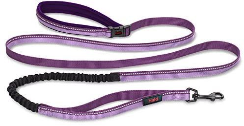 HALTI Aktiv Hundeleine – Griff mit Neopren-Polsterung, 3M-Reflektorgewebe und Stoßdämpfung. Freihandleine, Ideal zum Laufen mit mittelgroßen und großen Hunden (Größe Groß, Lila)