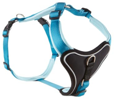 Wolters | Geschirr Professional Comfort in Aqua/Azur | Brustumfang 40 - 45 cm