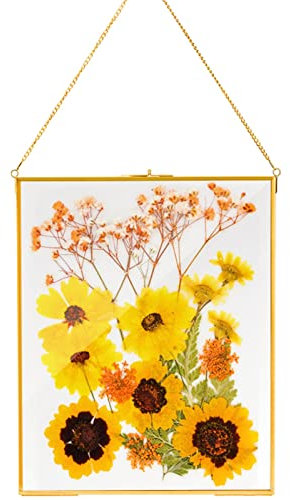 AVLA Brass Hanging Photo Frame, 11x14 Inch Double-Glass Floating Display for Pressed Flowers and Large Artwork, Golden Gallery Wall for Specimens and Certificates