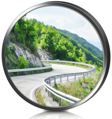 30CM Panoramaspiegel, Beobachtungsspiegel mit Betrachtungswinkel 220°, Verkehrsspiegel für Ausfahrten, Weitwinkel Spiegel, Konvexspiegel, Verwendung im Freien und in Innenräumen, Schwarz