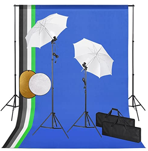 vidaXL Fotostudio-Set mit Leuchten, Schirmen, Hintergrund, Reflektor