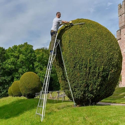 Hendon 6ft (1.8m) Aluminium Platform Lightweight Tripod Ladder with handrail - Ideal for Gardeners, DIY enthusiast, Landscapers, suitable for both outdoor and indoor use. Silver