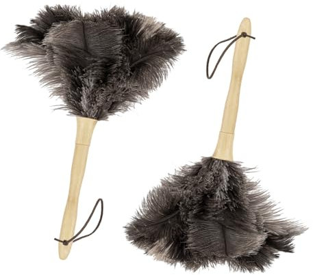Lot de 2 plumeaux outil de nettoyage pour la maison, articles ménagers poussière