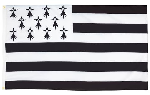 AZ FLAG Drapeau Bretagne 90x60 cm Drapeau Breton Polyester 100D 2 Œillets | Usage intérieur et extérieur Drapeau décoratif coutures doubles et bords renforcés avec œillets métalliques