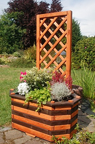 Deko-Shop-Hannusch Pflanzkasten, Blumenkasten, Blumenkübel aus massivem Holz mit schön gearbeiteter Pergola, für den Garten, Farbe:Braun - Schwarz