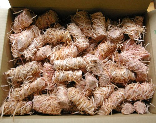 Ritz Kaminanzünder 1300 Stück