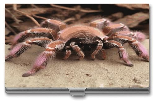 QWNMD Visitenkartenetui mit Schnalle, Metall, groß, mexikanisches Pink, Tarantulaprinted, schmale Geldbörse, Namenskartenhalter für Visitenkarten, Männer und Frauen