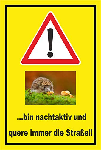Melis-Folienwerkstatt Schild Achtung - Igel nachtaktiv Straße – 60x40 cm – 3mm Aluverbund – Bohrlöcher – mehrere Größen/Materialien