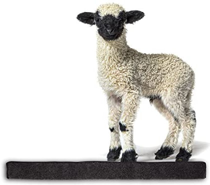 BigDean Zugluftstopper für Fenster 100cm - 100% Schurwolle - Anthrazit - Luftzugstopper Durchzugstopper Windstopper - Made in Germany