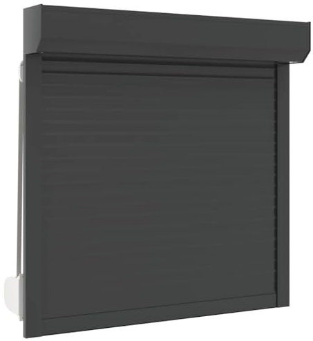 Kangmusi Rollladen Aluminium 100x100 cm Anthrazit,144978