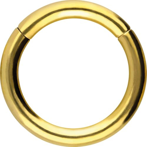 PIERCINGLINE Anneau segmenté à clicker en acier chirurgical – Piercing en or, argent, rose, noir ou bleu – pour nez, septum, oreille, hélix ou tragus