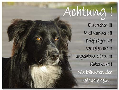 Border Collie-Schild-3 Größen-Aluminium Verbund-Hund-Tierschild-Warnschild-Hinweisschild (1451-42 -300 x 200 x 2 mm mit Klebepads)