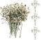 SURALIN 50 Piezas Gypsophila Blanca Seca, Flores Secas Decorativas Naturales Pequeñas Flores Secas Decorativas Fabricación de Tarjetas de Boda