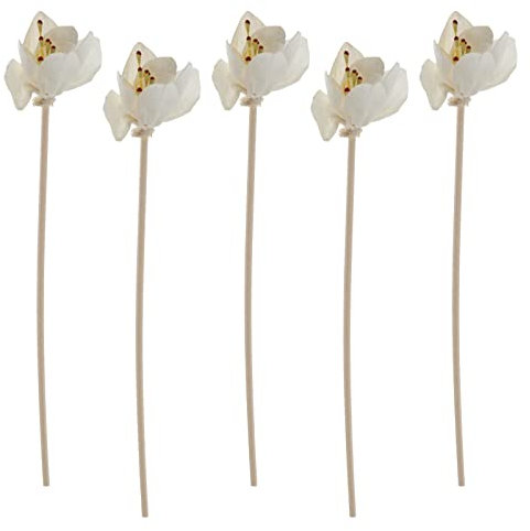 FUNOMOCYA Varillas de Ratán para de Aromas 5 Pcs Palitos Aromáticos Decorativos para Aceites Esenciales Absorción Rápida Aromaterapia Decoración de Interiores