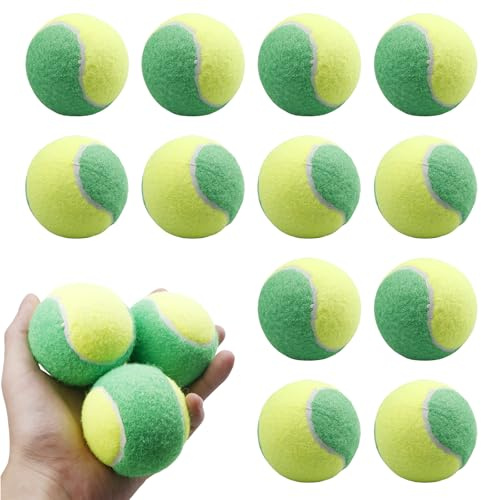 WIYETY Palline da tennis per il tempo libero, per principianti, tennis, per il tempo libero, per allenamento tennis, lezioni di palloni e cani (12 pezzi, bicolore