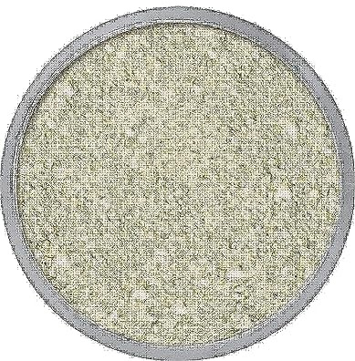 Kryolan Fixierpuder in Transparent 50g, Farbton: TL4