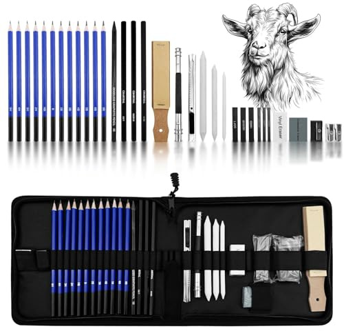 Ravytha Crayon Dessin Professionnel Kit, Crayons Fusain, avec du Charbon, Graphite, Outils et Gomme, Etui de Transport à Fermeture Eclair Plus Encore, pour Dessiner, Débutants, Ėtudiants et Artistes