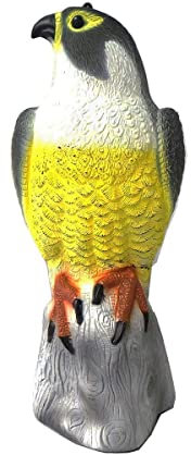 PERAGASHOP Statua Falco 39CM APPENDIBILE DISSUASORE SPAVENTA PASSERI PICCIONI COLOMBI