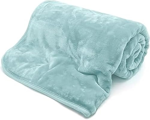 Z Zeetwear Lightweight Plush Fleece Blanket, Extra Warm and Breathable, Machine Washable, Multiple Colours Available (Duck Egg, Double)