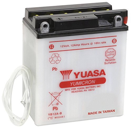 Yuasa YUAM222AB YB12A-B Battery, Multi-Colored