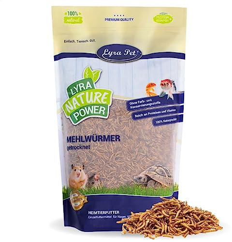 Lyra Pet® | 1 kg Mehlwürmer getrocknet | Proteinreiches Vogelfutter | Für Wildvögel, Nager, Reptilien & Fische | Nahrhaftes Futter | Energiespender für Insektenfresser | Vitamine & Mineralstoffe