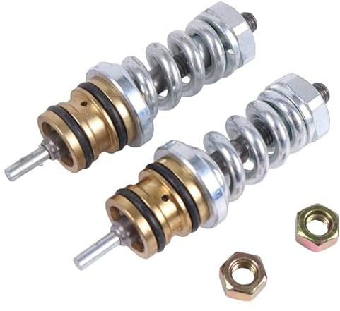 DVPARTS Lot de 2 valves de déchargement compatibles avec pompes de nettoyeur haute pression Homelite 310924003, HM-310924003, Ryobi & Ridgid 310924003 pour modèles Coleman Powermate et Simpson