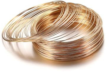 TAIGUHUI Stahlseil 100 Runden/Packung Memory Stahldraht Armband Armband Zubehör Schmuck Material Armband Eisenring Stahldraht Ring Kreis Drahtseil(Champagne)