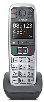 Gigaset E560 - Telefono DECT - Tasti Grandi - Numeri sul Display Grandi - Tastiera Illuminata - Suonerie e Audio Potenziato - Tasto SOS, Grigio [Versione Italiana]