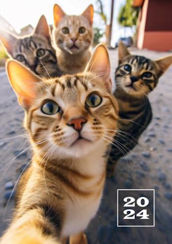 2024: 1 Woche auf 2 Seiten Kalenderbuch | Wochenplaner A5 Taschenkalender | Terminkalender Planer | Organizer Terminplaner | Buchkalender Jahresplaner | Wochenkalender Katze