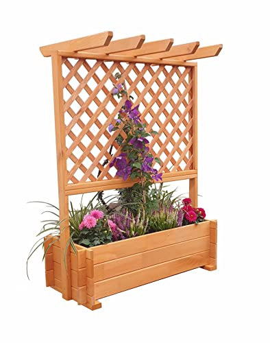 Promadino Rankkasten mit Pergola