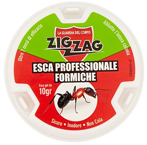 ZIG ZAG Esca Insetticida Antiformiche In Plastica Rigida Pronta All'uso, Con Gel Antiformiche Da Gr, Inodore, Non Cola, Non Sporca., Bianco, 7.6x7.6x7.6 cm, 10 Grammo