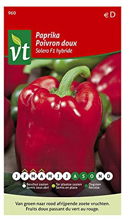 Sweet Pepper Solero F1 Hybrid Seeds per gram - Quality Fruit with Thick Flesh - 0,15 g - Seeds per gram: 150