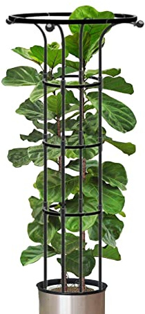 Indoor Trellis | Indoor Plant Trellis | Small Indoor Plant Obelisk Trellis | Portable Potted Plant Climbing Support Climbing Trellis Support Stake for Flowers Vegetable Fruits, Vines Support