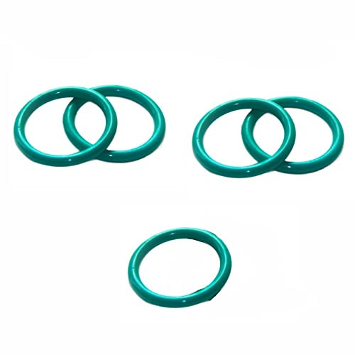 DQZRTUECA TC Skelett-Öldichtring, 5 Stück grüne O-Ringe aus Gummi, CS 4 mm O-Ring-Dichtung, Öldichtung aus Fluorkautschuk(OD 98mm (5Pcs))