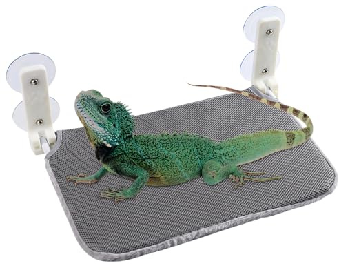 Perche de dragon barbu – Branche de bois naturel, plate-forme d’escalade pour reptiles, habitat surélevé sécurisé, accessoire de terrarium fabriqué à la main | Endroit de repos confortable pour enclos