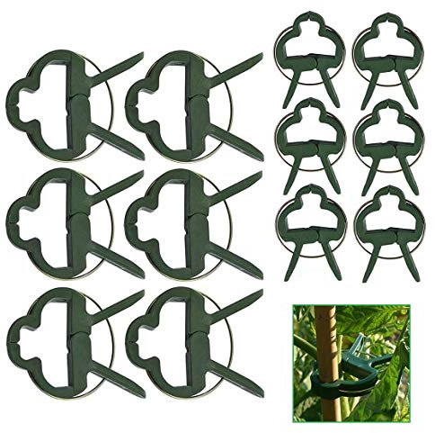 Voarge 60 Stück Pflanzenclips Stabile Clips Pflanzenklammern, 2 Größe Gartenpflanze Clips wiederverwendbar, für Pflanzen Sicherung Unterstützt, Einzupflanzen Rosenbögen Rankhilfen (30 große 30 kleine)