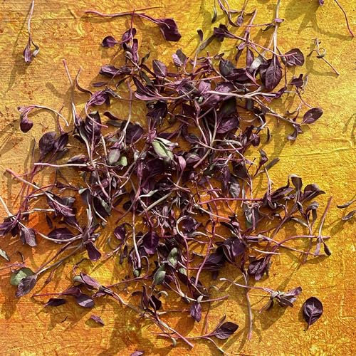 Edible Freeze Dried Micro Red Amaranth Leaves - 400ml - UK Grown - Certified Food Grade (517)