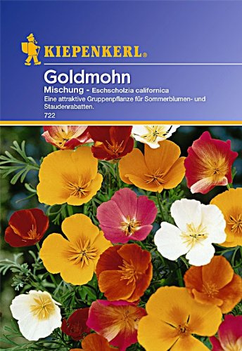 Sperli Blumensamen Goldmohn Eschscholzia Mischung, grün