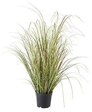 Klocke Kunstpflanzen Dekogras im Topf - Künstlich & Naturgetreu - Medium: 70cm - Hochwertiges Gras/Grasbüschel/Grasbusch/Grasbündel/Ziegras/Ufergras/Kunstgras getopft