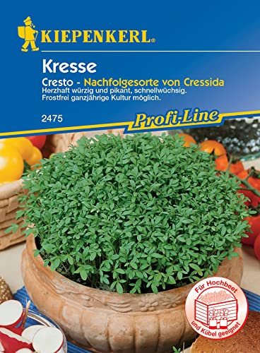 Kiepenkerl 2475 Kresse Cresto, hoher Vitamingehalt, Klassiker für die schnelle schmackhafte Würzküche