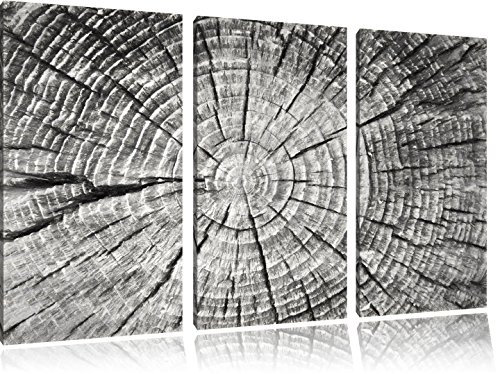 Pixxprint Baumstamm mit Jahresringen Spezial, Leinwandbild 3 Teilig, Gesamtmaß: 120x80cm, Wandbild, Dekoration, fertig gespannt, Kein Poster