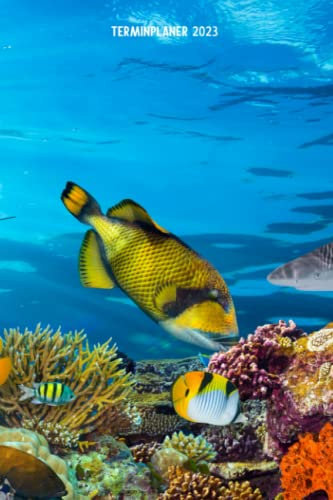 Terminplaner 2023: Aquarium Design Jahresplaner und Kalender von Januar bis Dezember 2023 mit Ferien, Feiertagen und Monatsübersicht - Organizer und Zeitplaner für 1 Jahr